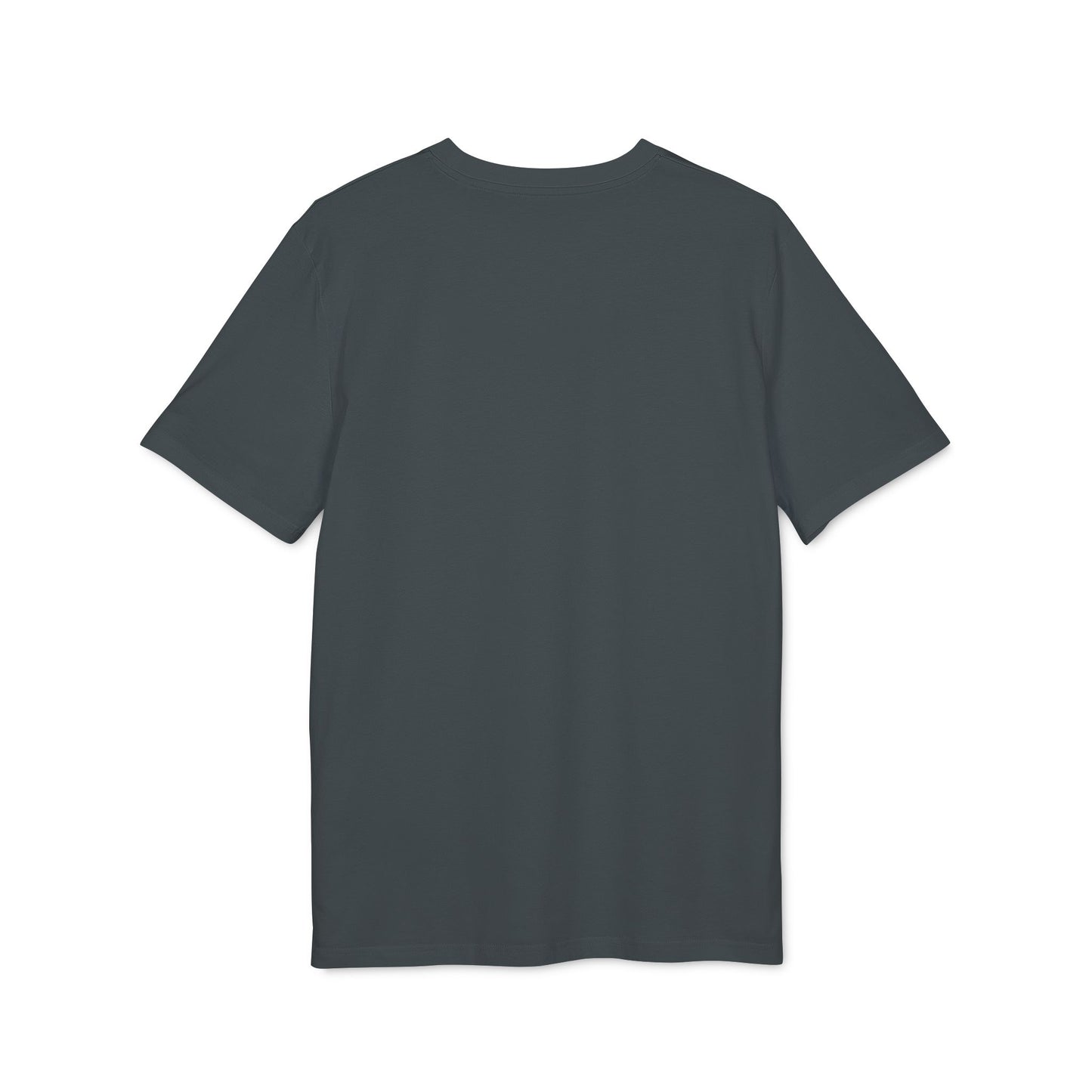 The Boys Are Back Unisex T-Shirt, Graphic Tee, Casual Wear, Gift for Him, Fun T-Shirt for Celebrations, Trendy Clothing