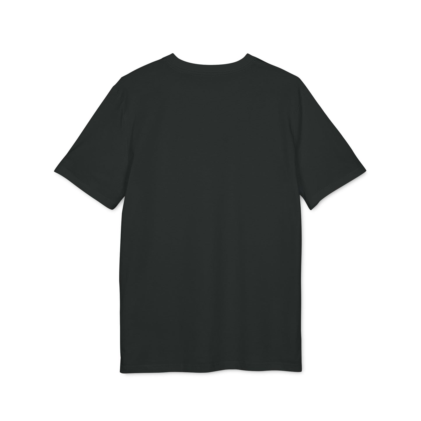 The Boys Are Back Unisex T-Shirt, Graphic Tee, Casual Wear, Gift for Him, Fun T-Shirt for Celebrations, Trendy Clothing